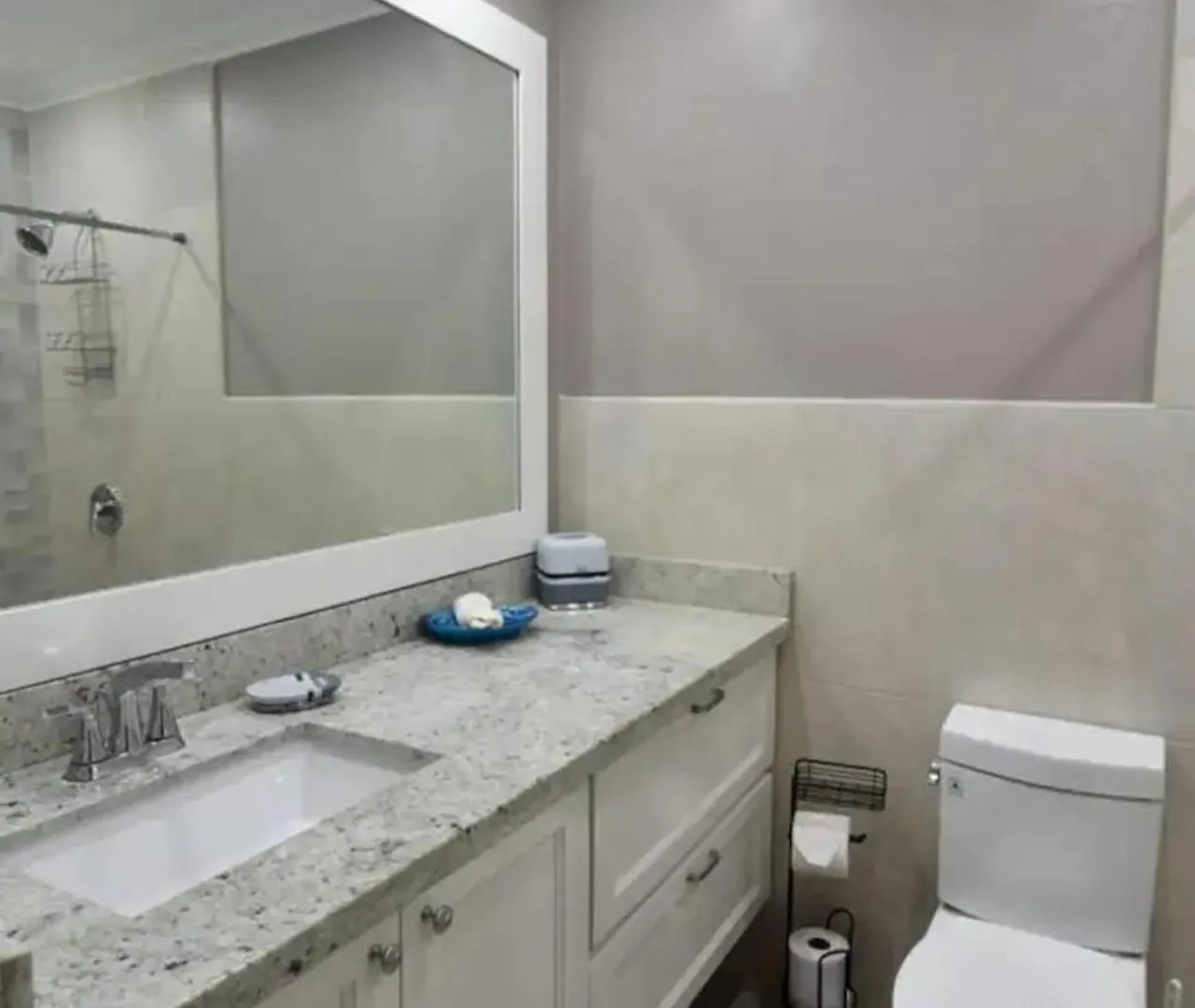 Apartament Secluded Ravinia Gem In Kingston 6
